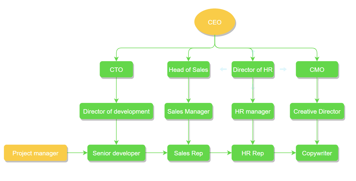 Matrix organization diagram