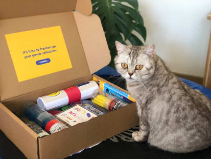 gato con caja de regalos