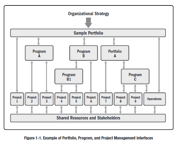 Screenshot from the 6th edition PMBOK guide illustrating OPM.