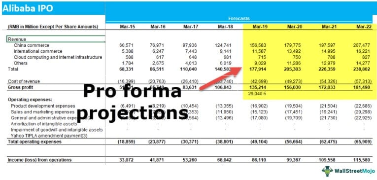 Pro forma income statement