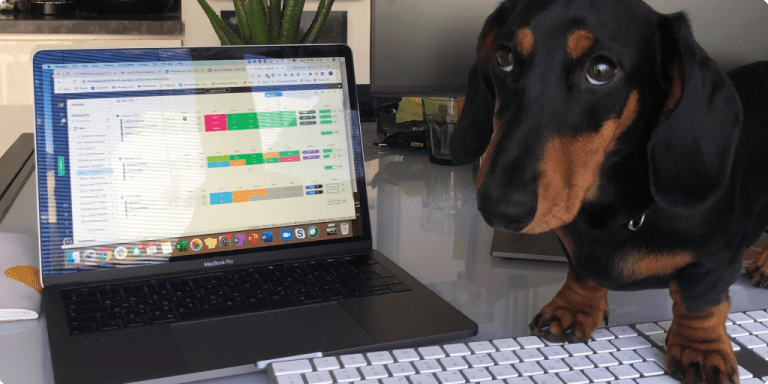 Todos-estão-fazendo-Home-Office