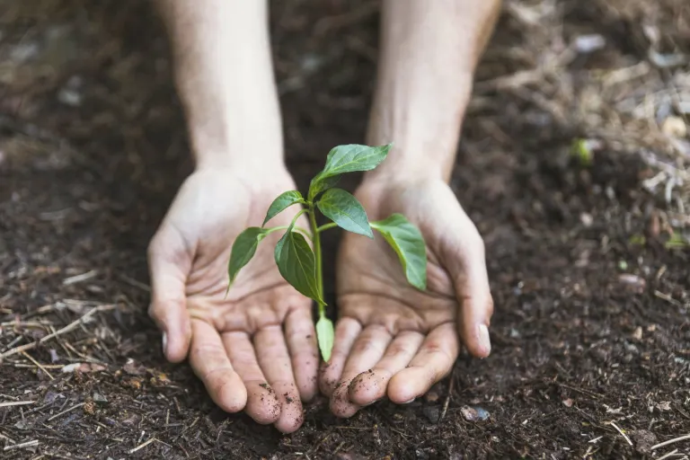 Lead nurturing definition and examples