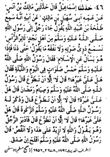 Hadith 46, Chapter 34, Sahih Bukhari