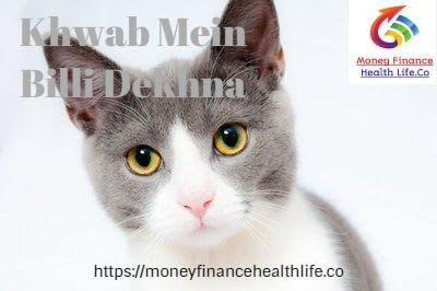 Khwab Mein Billi Dekhnay Ki Tabeer Mfhl Zohra Amreen Islamic Scholar Spiritual Specialist Data Scientist Khwab Mein Billi Dekhnay Ki Tabeer Mfhl Zohra Amreen Islamic Scholar Spiritual Specialist Data Scientist