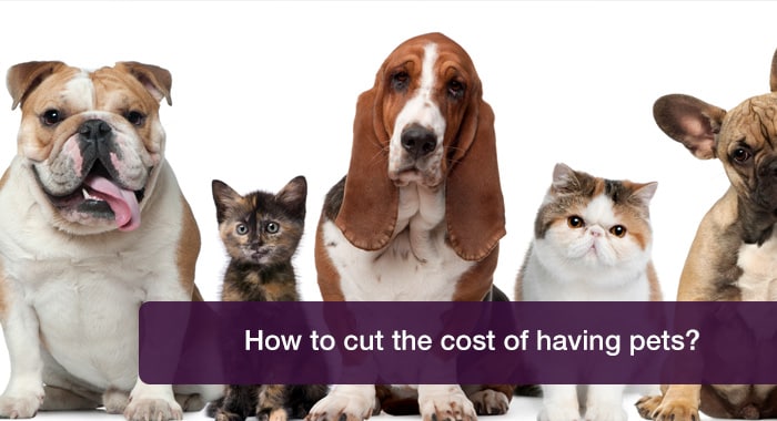 How to cut pet costs without compromising on care