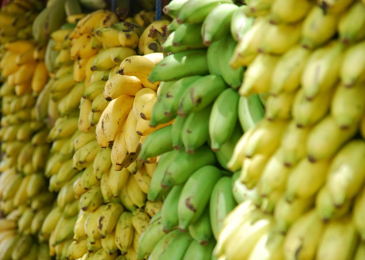 How to save money on organic foods