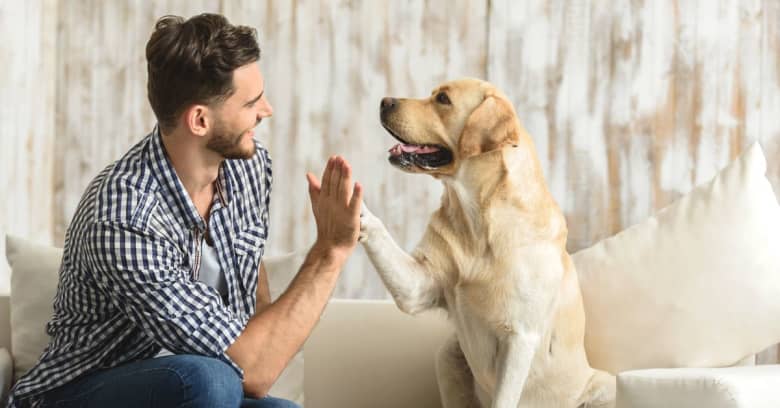 Man with dog on sofa