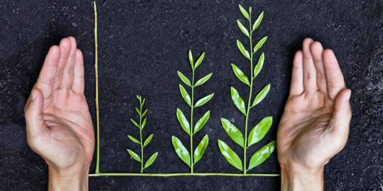 Growth via Investment