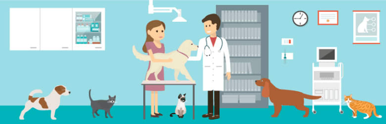 pet insurance