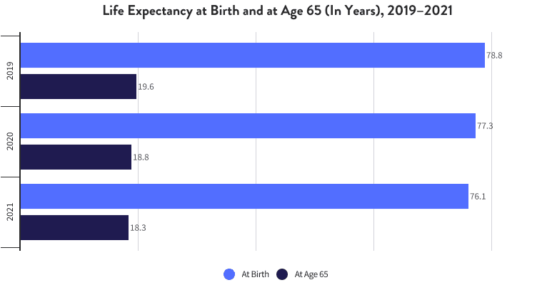 Life Expectancy by Birth 2019-2021