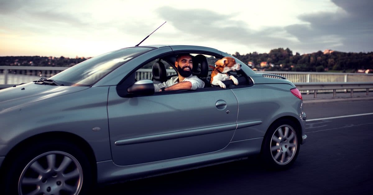 The Best Cheap Car Insurance in Waco for 2022 MoneyGeek