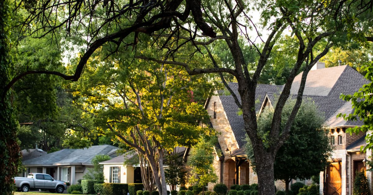 Does Homeowners Insurance Cover Tree Damage to Your Neighbor’s Property?
