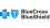 Blue Cross Blue Shield