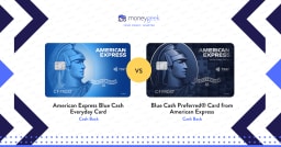 Blue Cash Everyday® Card vs. Blue Cash Preferred® Card From American Express 