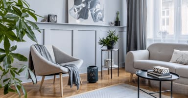 article-image