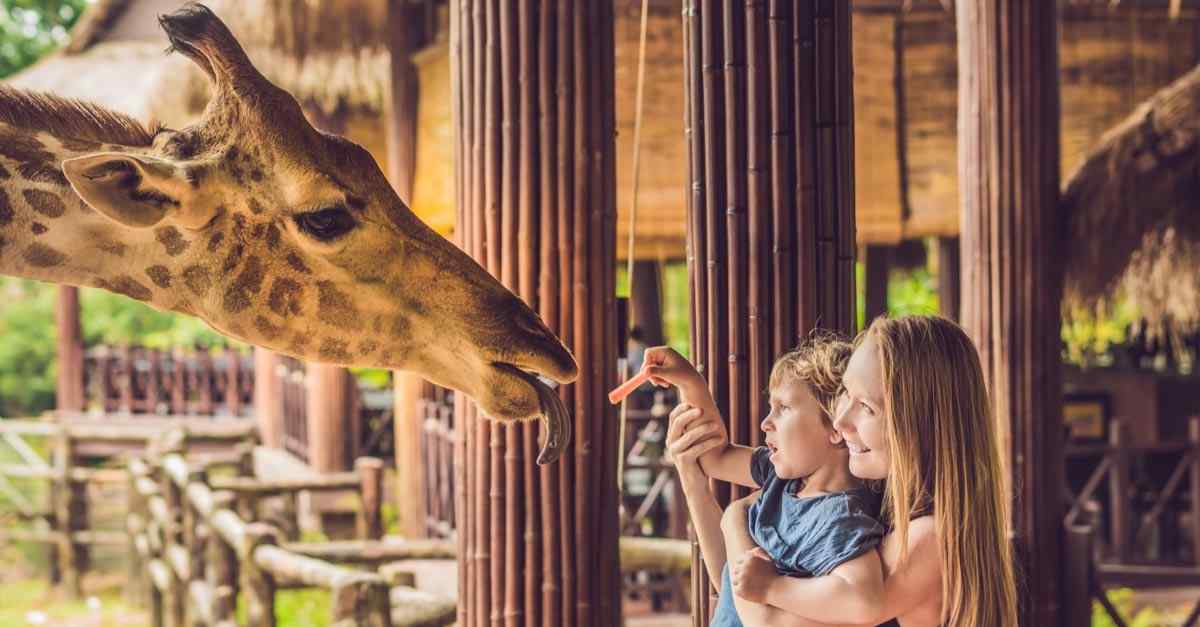 Mom and child at zoo