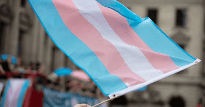 the pink, blue and white transgender flag is carried by a person