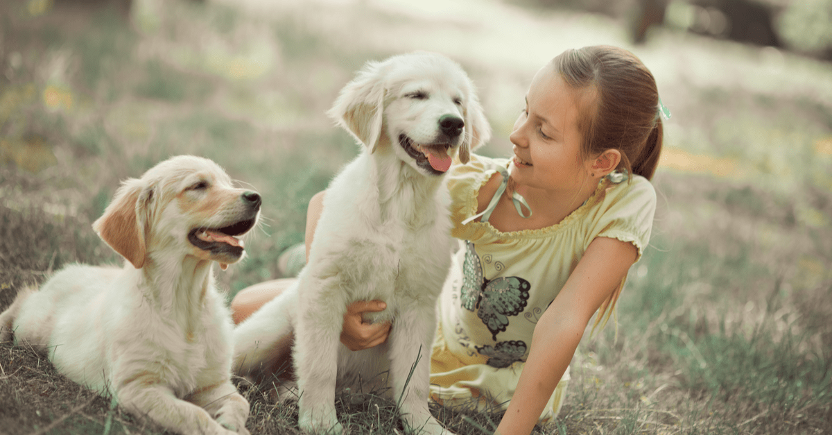 Best Pet Insurance in (Upd. 2024)