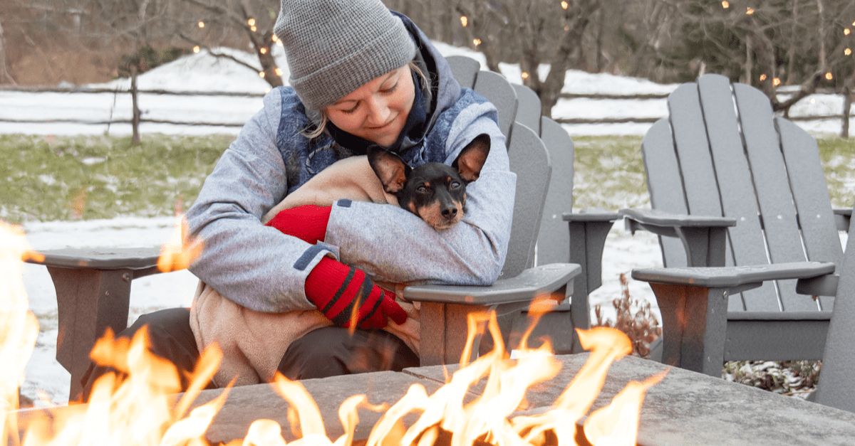 Best Pet Insurance in Vermont (Upd. 2024)