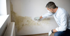 What Causes Household Mold - State Farm®