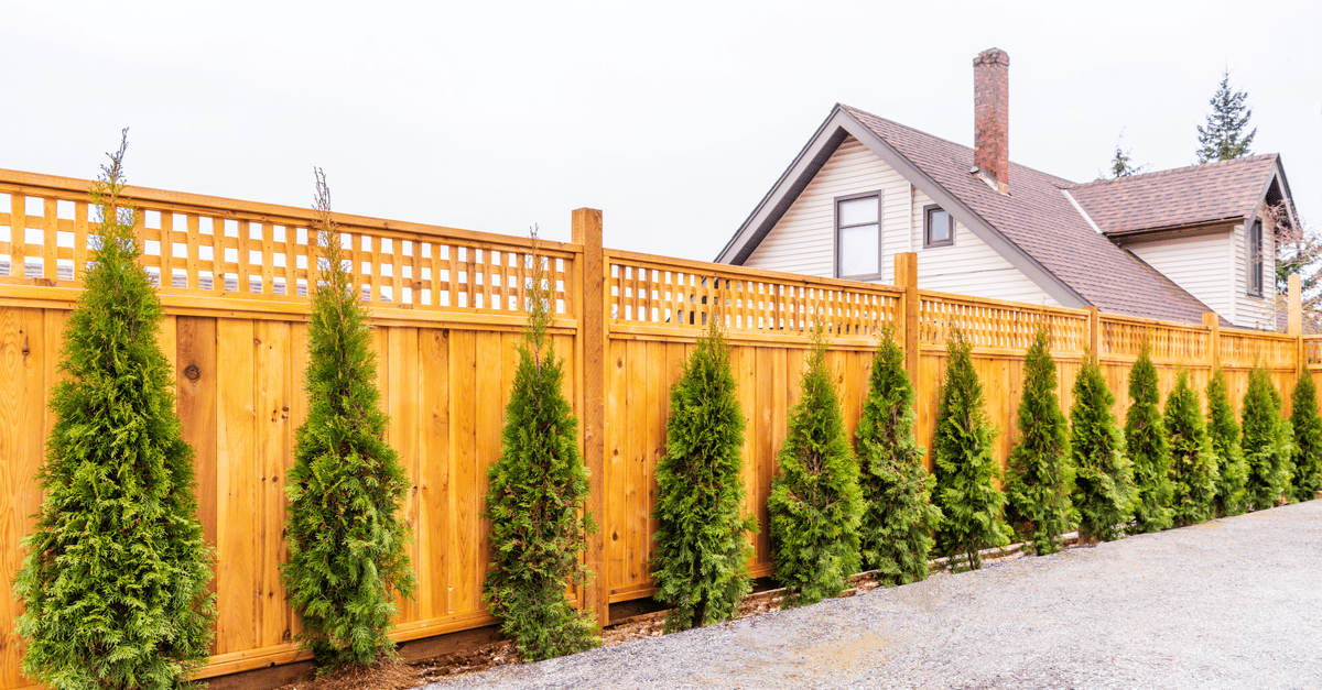 Does Homeowners Insurance Cover Fences? (2024)