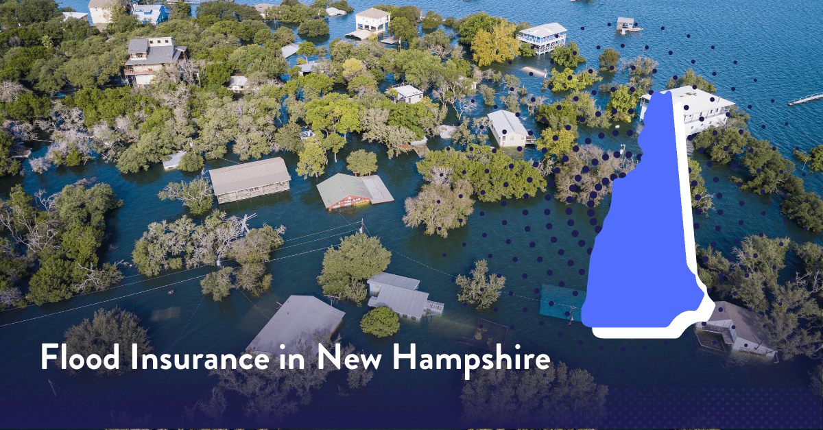Average Flood Insurance Costs in New Hampshire (2024)