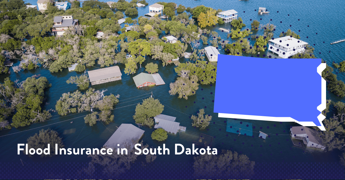 Average Flood Insurance Costs in South Dakota (2024)