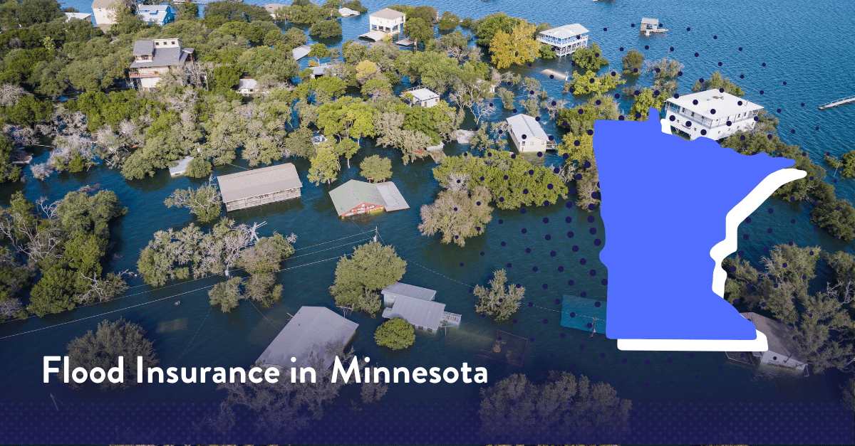 Average Flood Insurance Costs in Minnesota (2024)