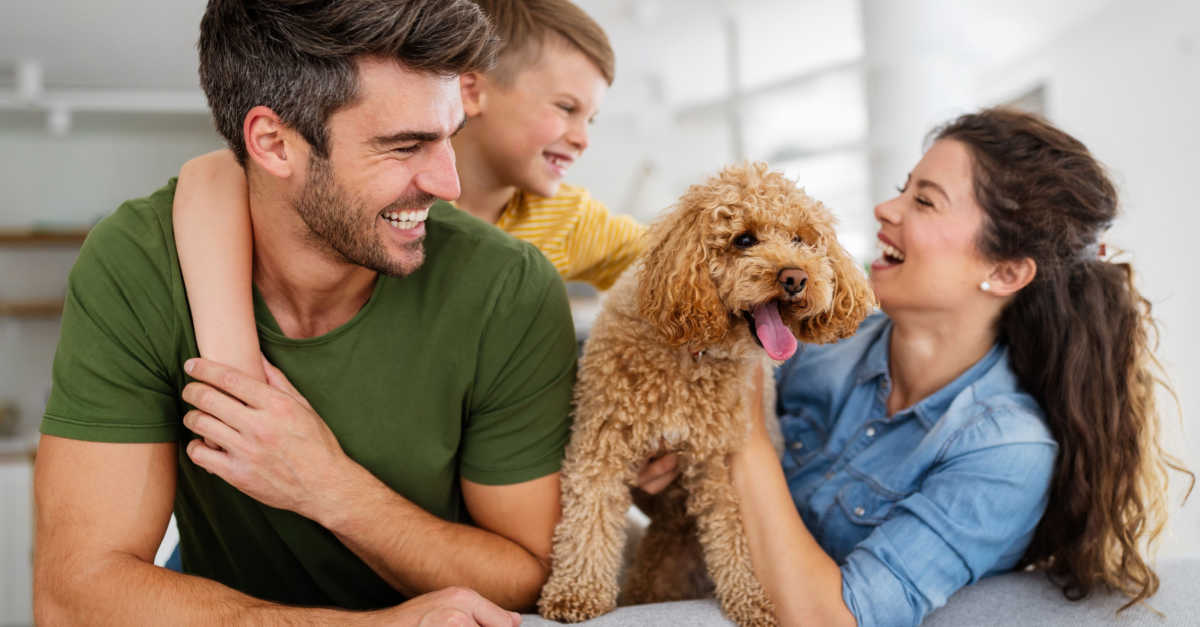 Do All Vets Take Pet Insurance?