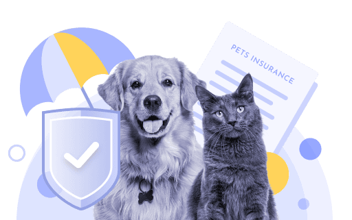 Pet-Insurance-Hub-Banner.png