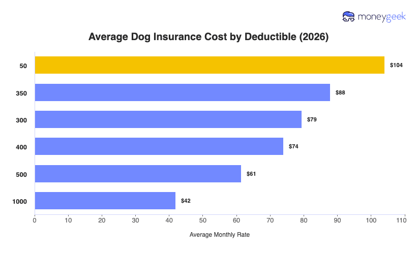 dog insurance cost average monthly cost of a dog