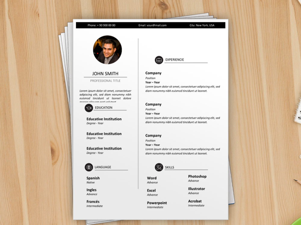 professional cv template word editable cv template editable cv template