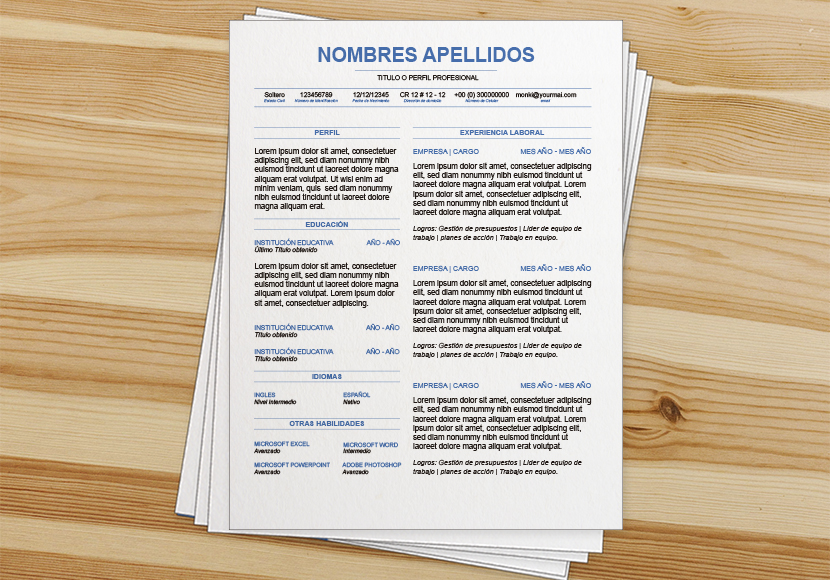 modelo de curriculum vitae basico cv en formato word gratis formato curriculum vitae basico word