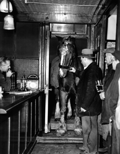 Ginger in the New Inn 1951