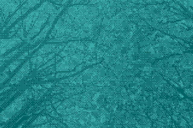 Cyan halftone photograph of autumnal tree branches