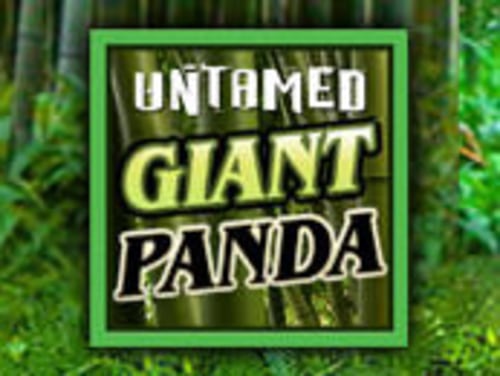 Untamed - Giant Panda Cover Image