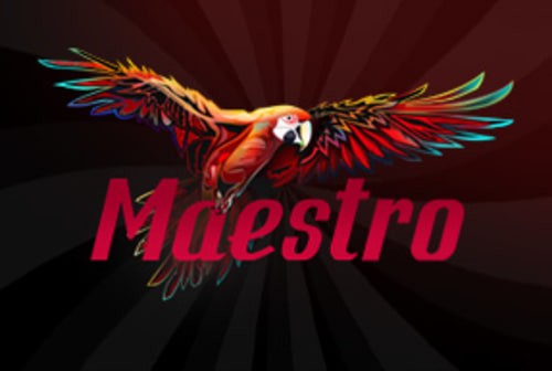 Maestro Cover Image