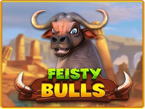 Feisty Bulls Cover Image