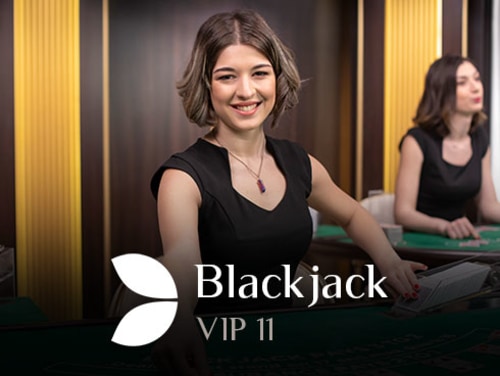 Blackjack VIP 11 Cover Image