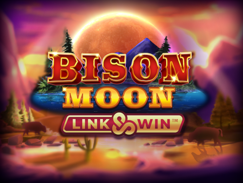 Bison Moon Cover Image