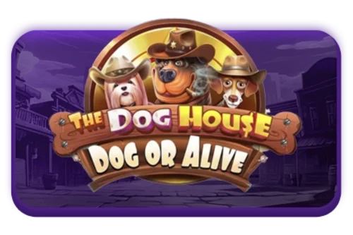 The Dog House – Dog or Alive Cover Image