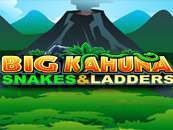 Big Kahuna - Snakes and Ladders Cover Image