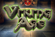 Viking Age Cover Image