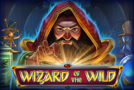 Wizard of the Wild Cover Image