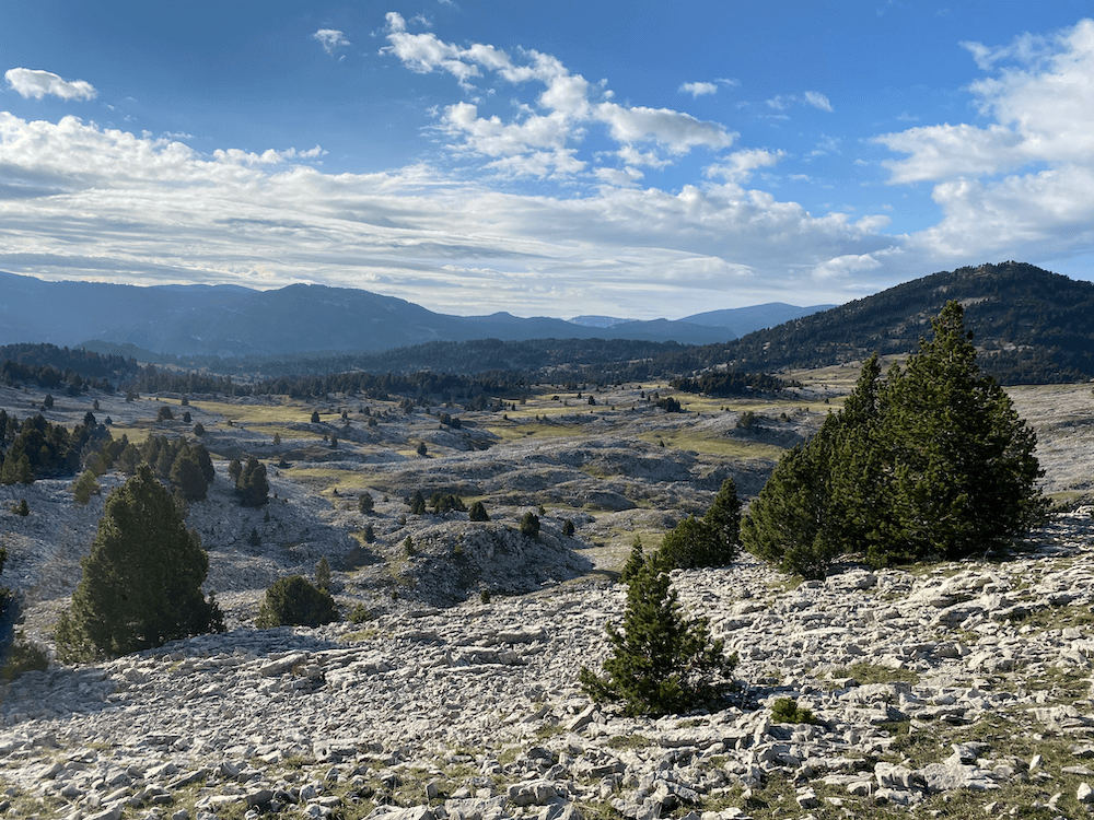 Les landes de pierre des hauts plateaux du Vercors