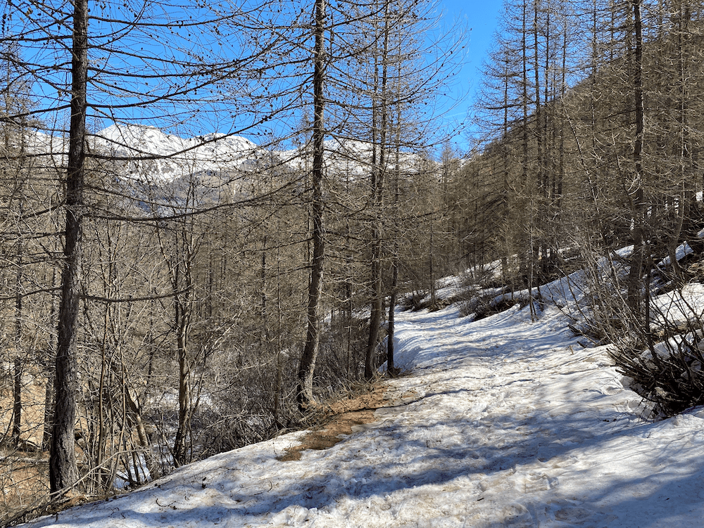 Descente au casset dans une ambiance estivale