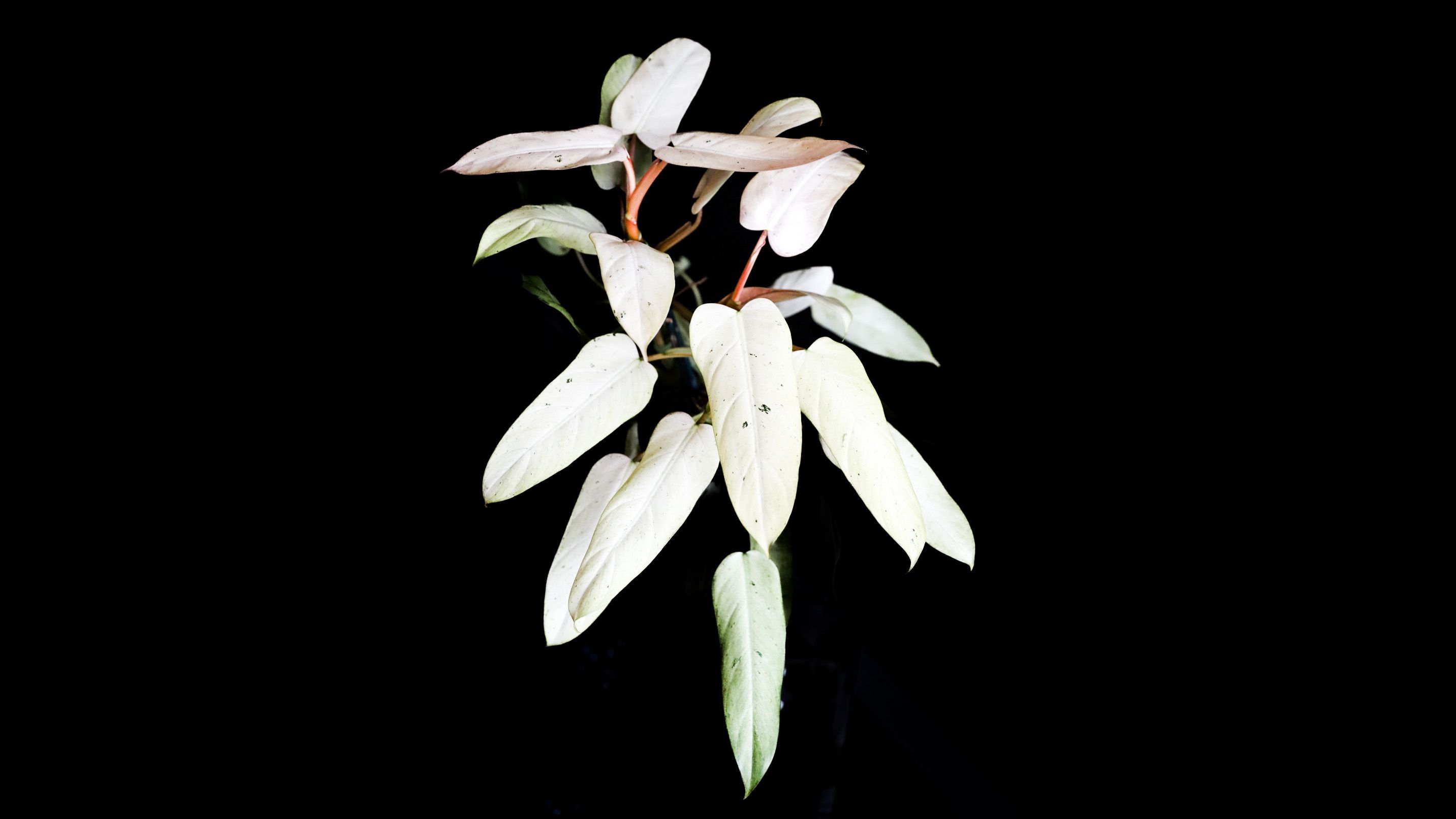 F25_DDFBE_6450_436_C_92_F3_D50