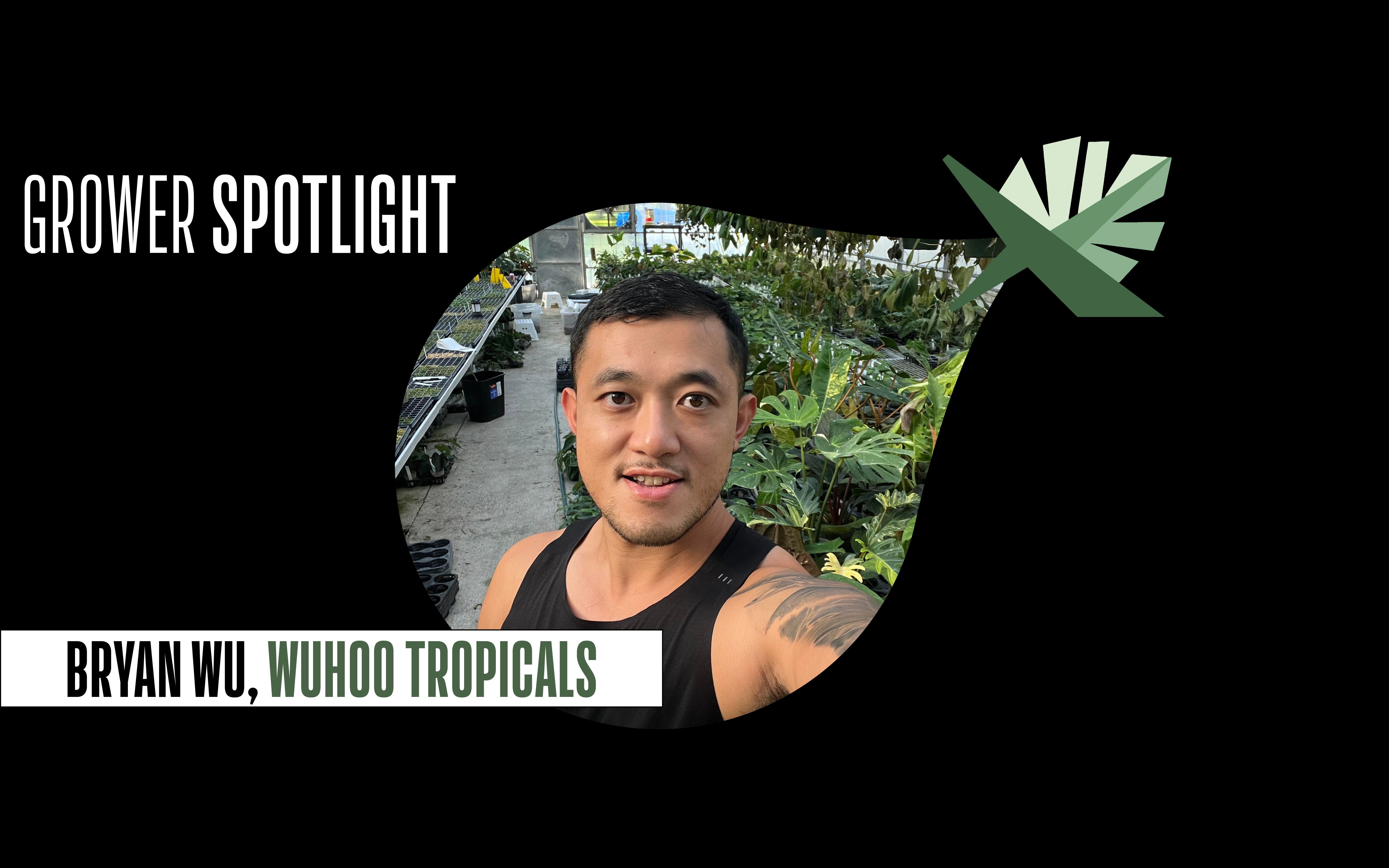 Grower Spotlight: Bryan Wu, Wuhoo Tropicals | MonsteraX
