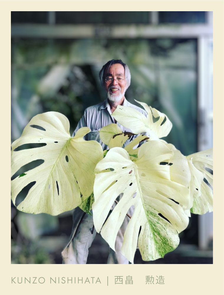 The Legend of Kunzo & the White Monster | MonsteraX