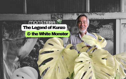 The Legend of Kunzo & the White Monster